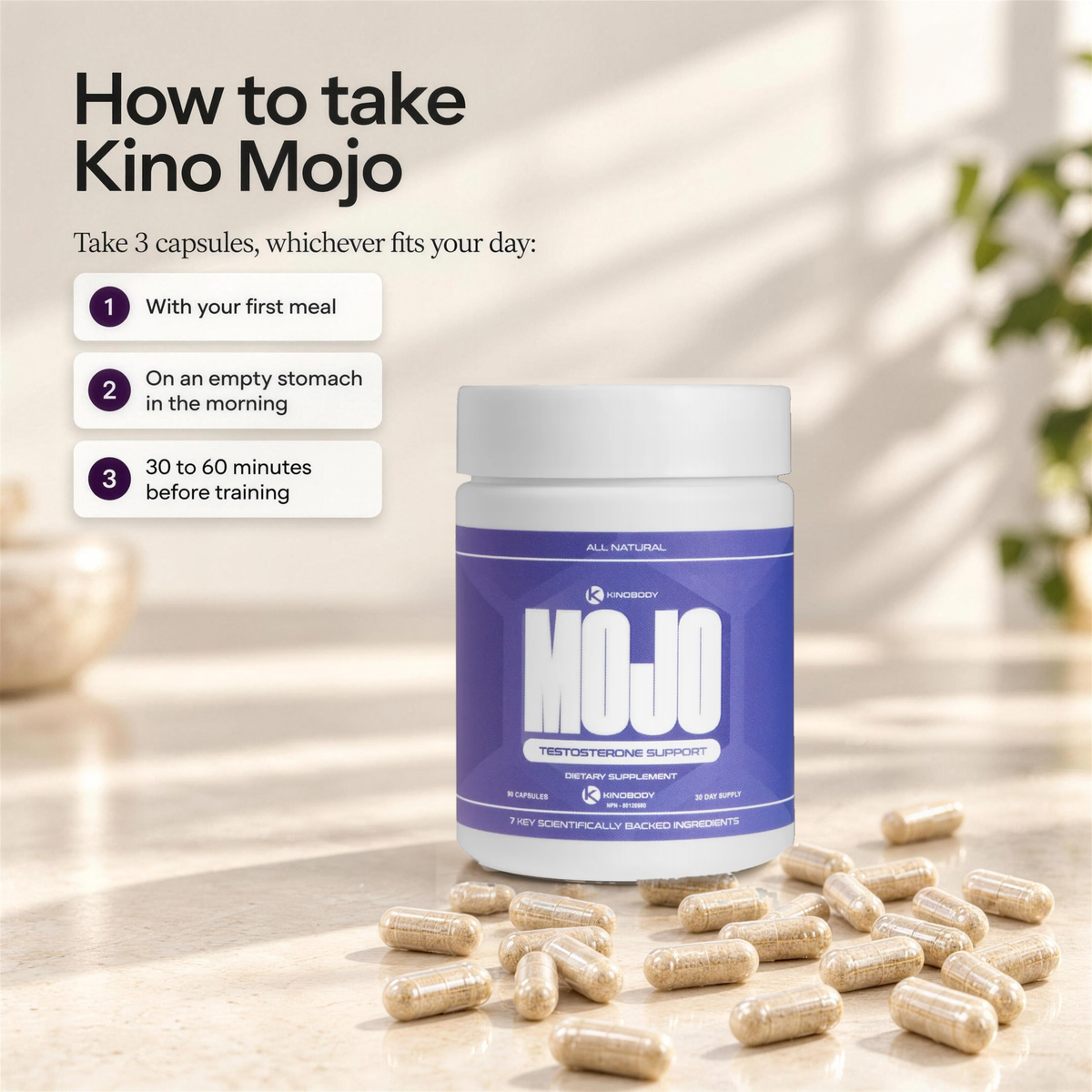 Kino Mojo